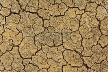 arid