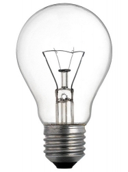 bulb