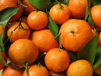 citrus