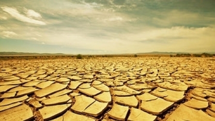 drought