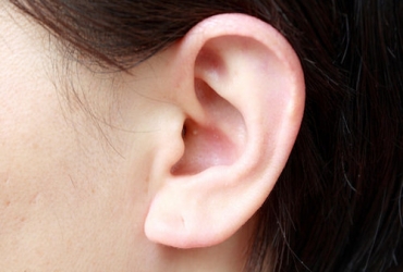 ear