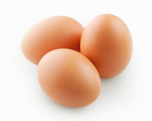 egg