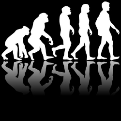 evolution