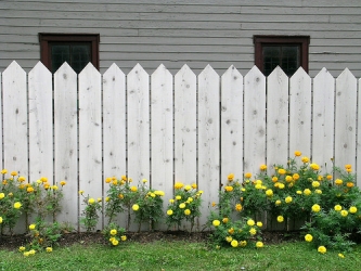 fence