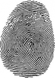 fingerprint