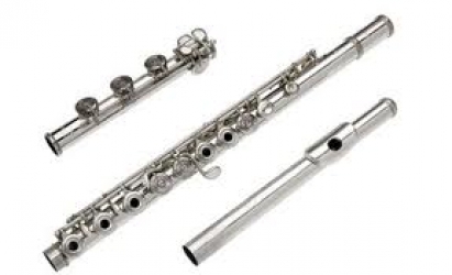 flute