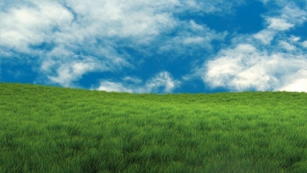 grassland