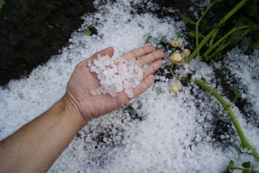 hailstorm