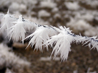 hoarfrost