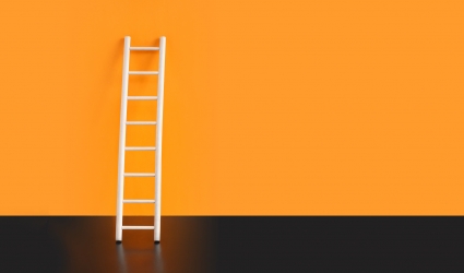 ladder