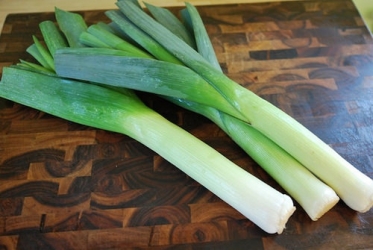 leek