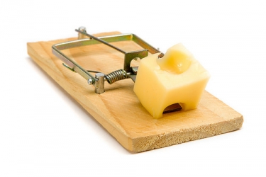 mousetrap