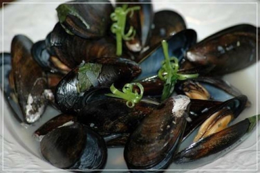 mussel