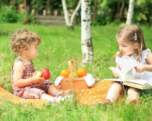 picnic