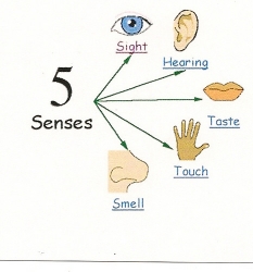 sensory